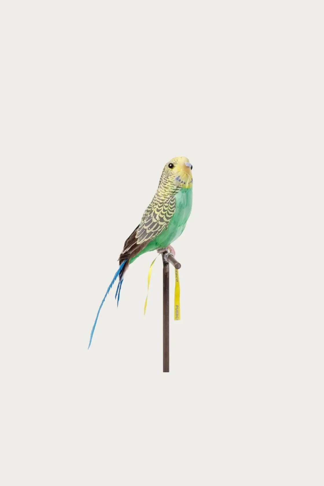 Homegoods<Puebco Budgie - Green