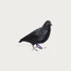 Homegoods<Puebco Crow 1 (Small)