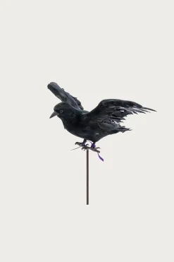 Homegoods<Puebco Flying Crow