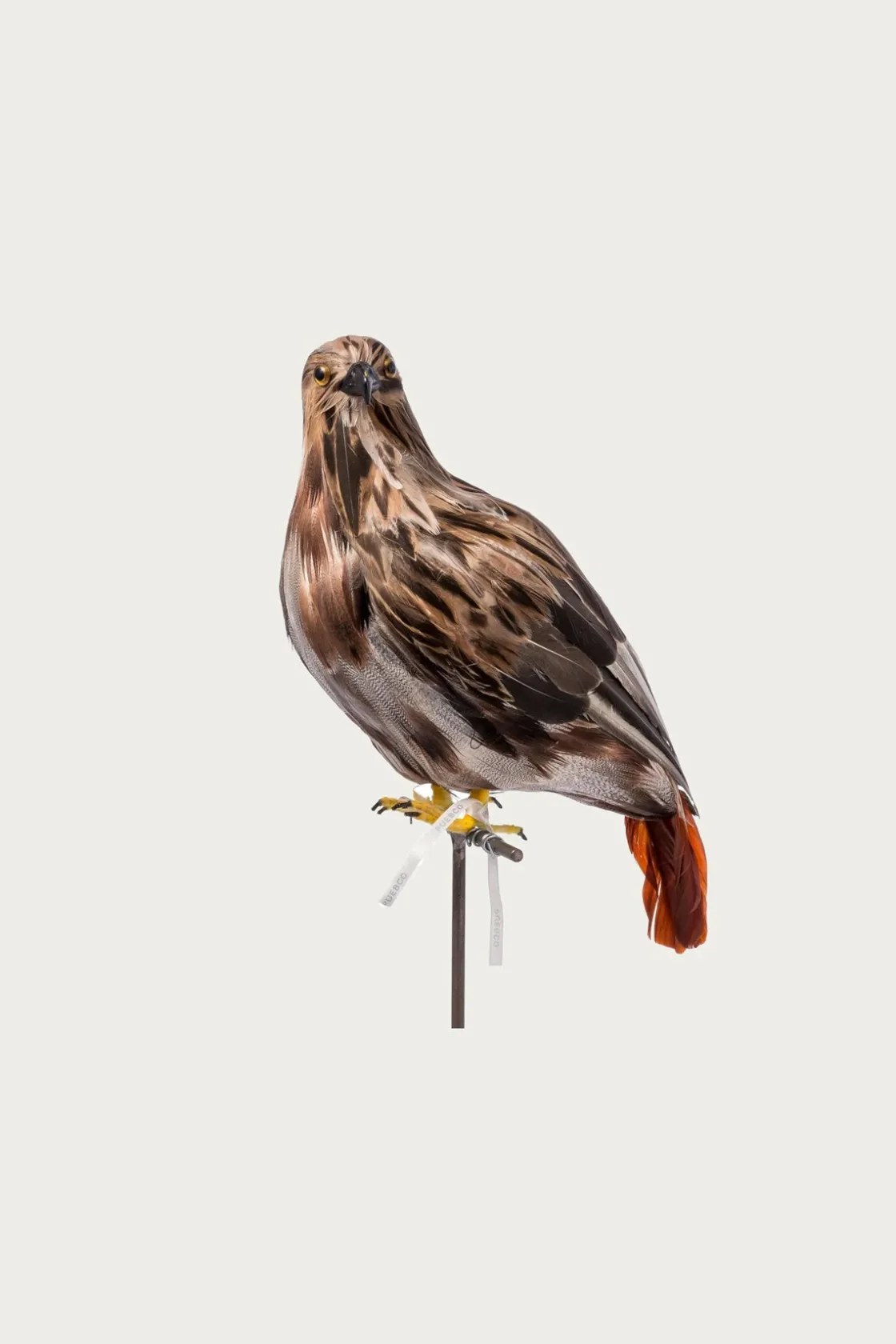 Homegoods<Puebco Large Hawk
